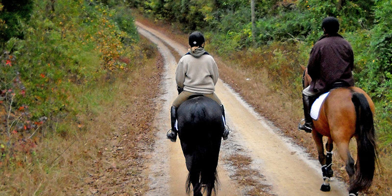 Equestrian Use