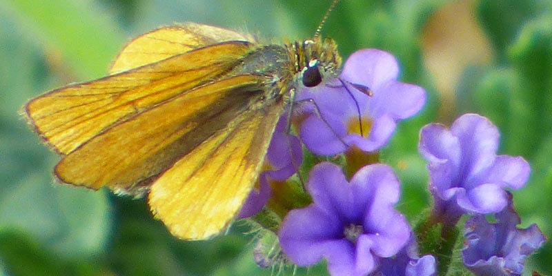 What makes it special - Nature